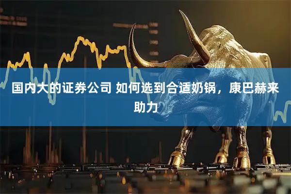 国内大的证券公司 如何选到合适奶锅，康巴赫来助力