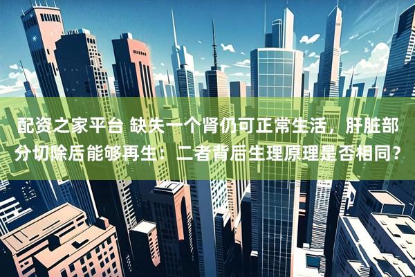 配资之家平台 缺失一个肾仍可正常生活，肝脏部分切除后能够再生：二者背后生理原理是否相同？
